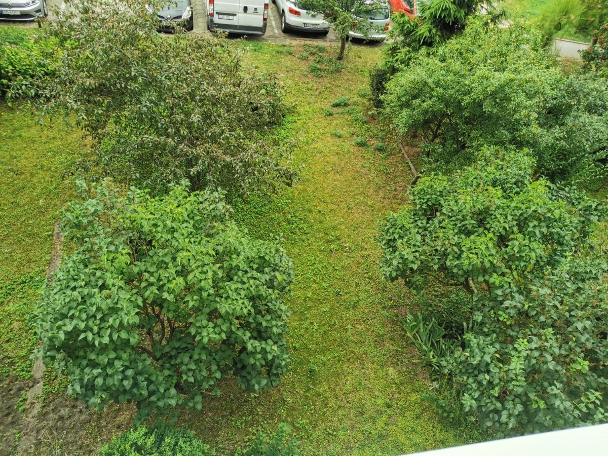 Apartament Wiewiorka Διαμέρισμα Γκντανσκ Εξωτερικό φωτογραφία