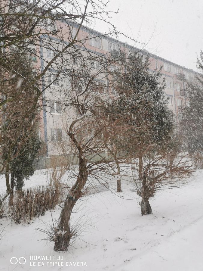 Apartament Wiewiorka Διαμέρισμα Γκντανσκ Εξωτερικό φωτογραφία